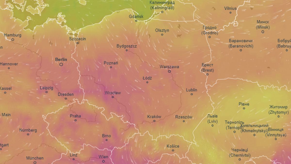 Zbliżają się upały 