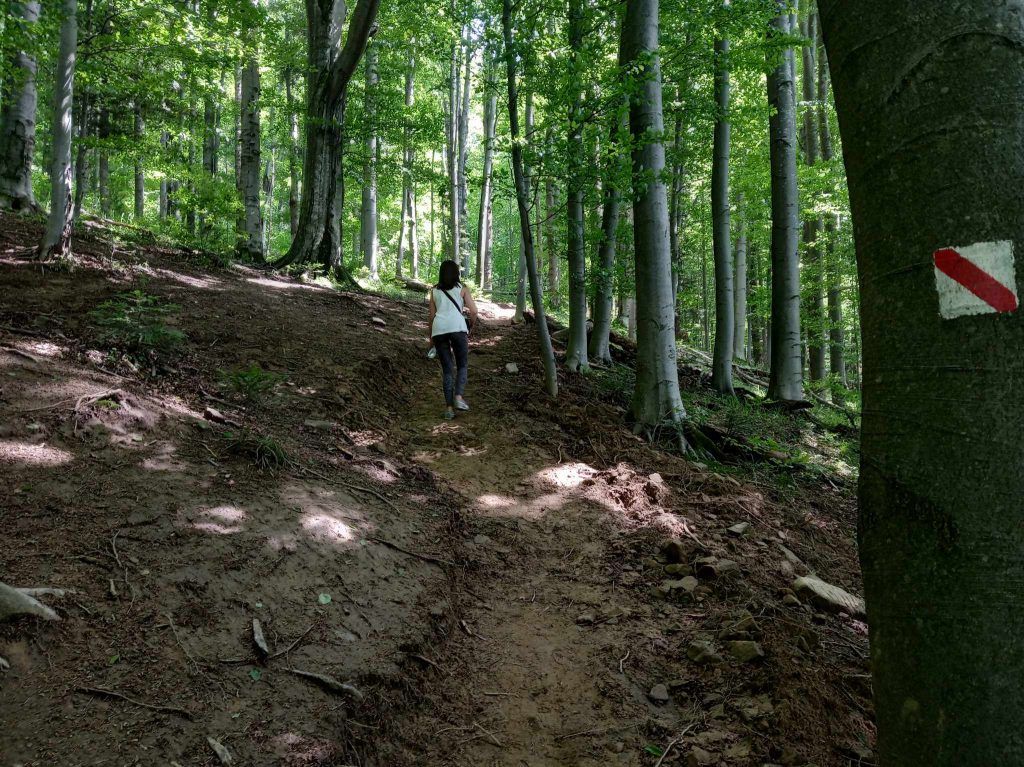 Szlak Brenzberg