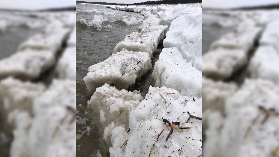 Lodowa plaża na Wyspie Sobieszewskiej