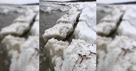 Wyspa Sobieszewska. Widok na plaży zapiera dech