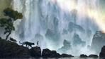 ''Księgi dżungli'': Mowgli żegna się wilkami