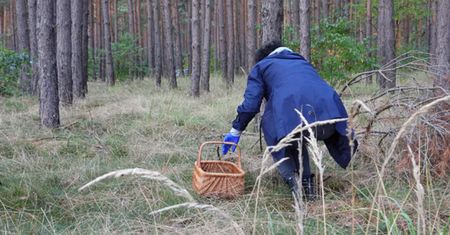 Poszła na grzyby. Nagle zobaczyła, co kryje się w trawie