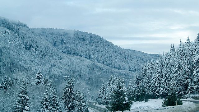 Które samochody są najmniej szkodliwe dla środowiska? 1