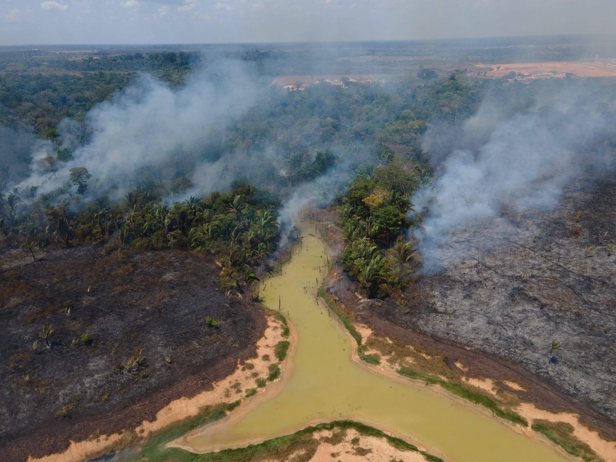 Pożar Amazonii, trzęsienie ziemi, szpieg Działo się w nocy. Gęste chmury dymu nad Amazonią