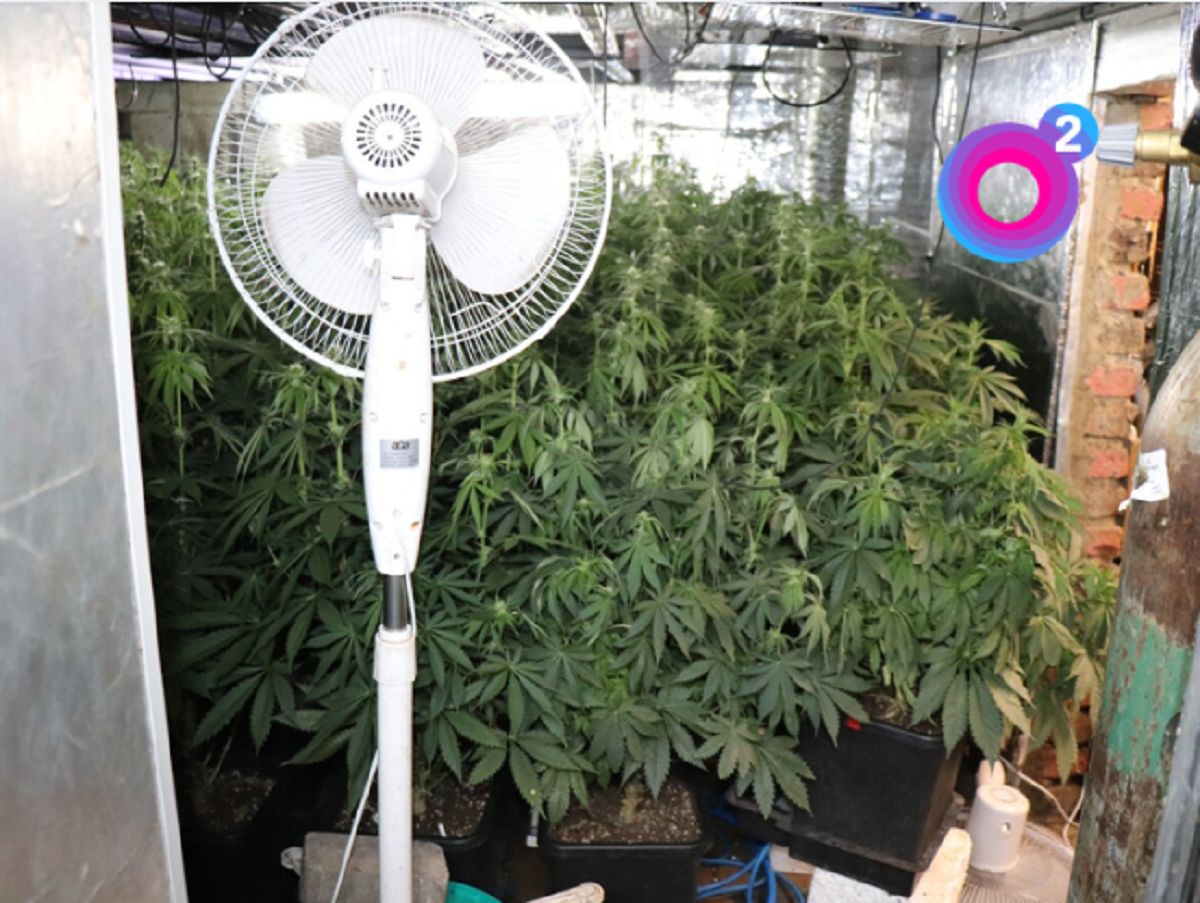 Był pod wpływem narkotyków. Policja odkryła coś jeszcze gorszego