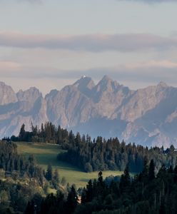 Pilne poszukiwania z zaskakującym finałem. Zauważyli, co robi w lesie