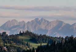 Pilne poszukiwania z zaskakującym finałem. Zauważyli, co robi w lesie