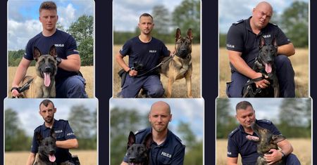 Nowe psy w lubelskim garnizonie policji. Do służby dołączyło 6 owczarków, belgijskie i holenderskie