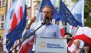 Tusk odbuduje poparcie dla PO? "To już się dzieje"