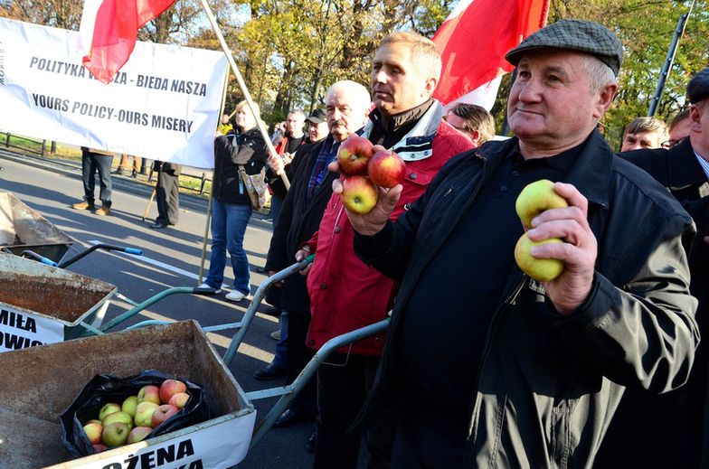 Produkcja jabłek staje się coraz mniej opłacalna