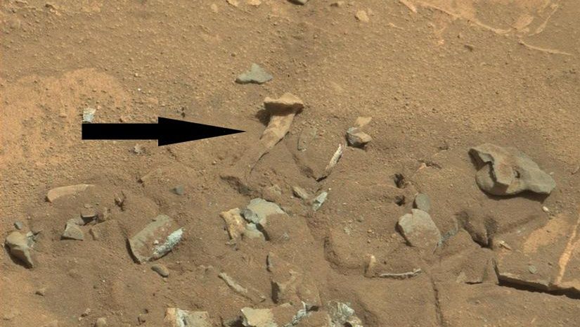 Kość na zdjęciu z Marsa. Oto jej prawdziwa historia