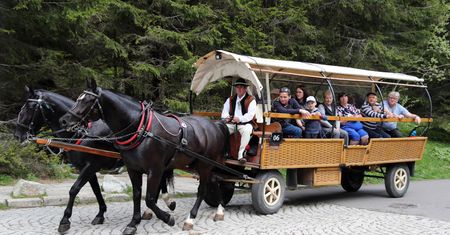 Koniec z fasiągami na Morskie Oko? Posłanka KO: A co się stanie z końmi?