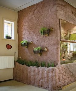 Chorzów. Żółw sępi poczuje się prawie jak na wolności. Dostał nowe terrarium