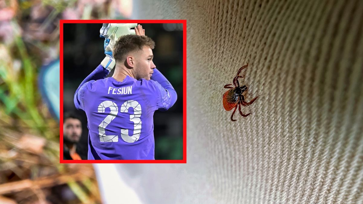 Kleszcz doprowadził do groźnej infekcji