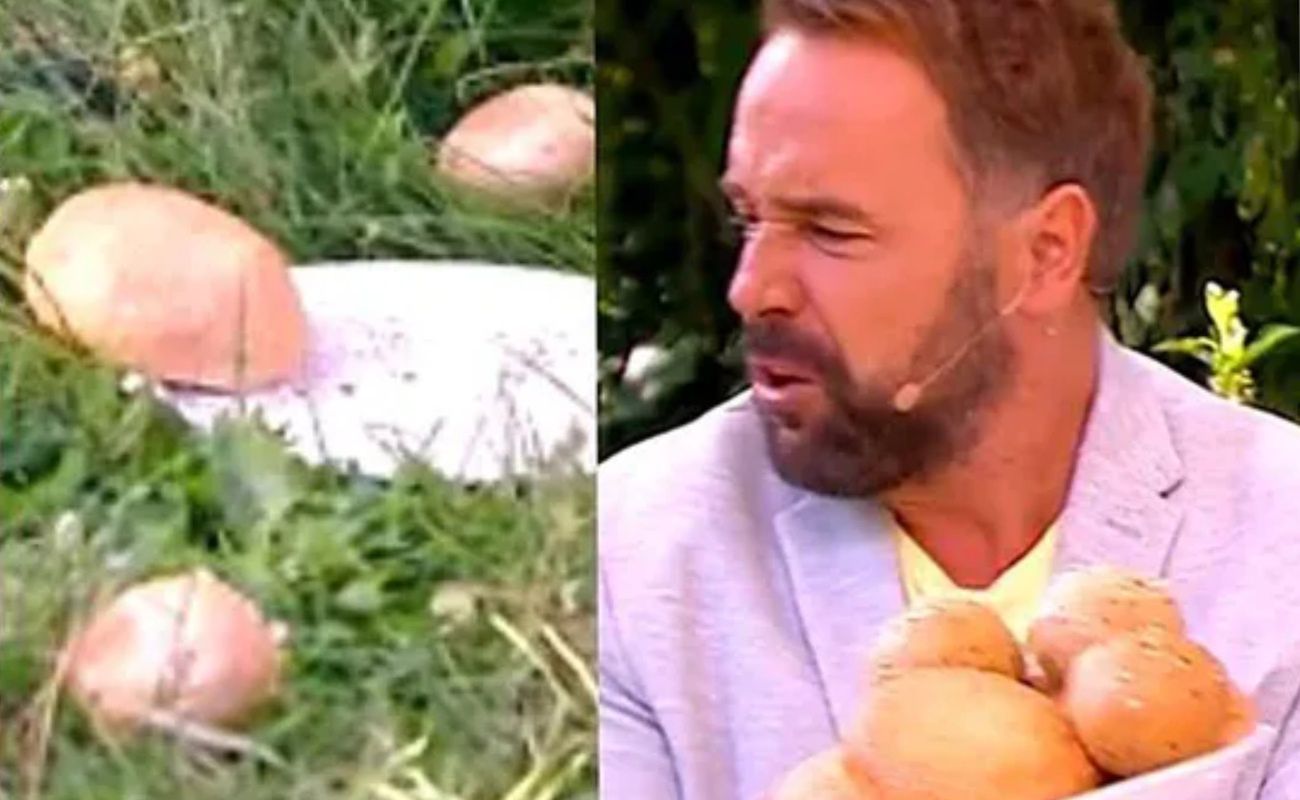 Łukasz owicki rzucił bułki na ziemię