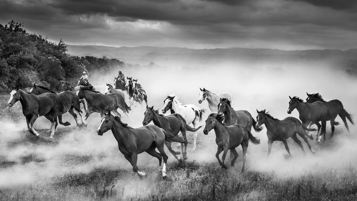 Wiatr we włosach, wolność i dzikie konie, czyli Argentyna Marcosa Furera 1