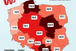 Koronawirus w Polsce. Znów kilkaset nowych przypadków SARS-CoV-2. Wśród ofiar 34-latek. Najnowsze informacje Ministerstwa Zdrowia