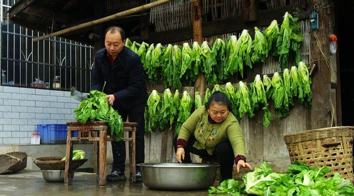 Wszystkie smaki fermentacji 2