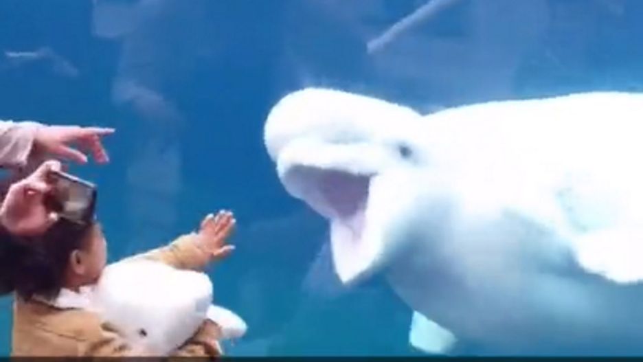 białucha i dziewczynka