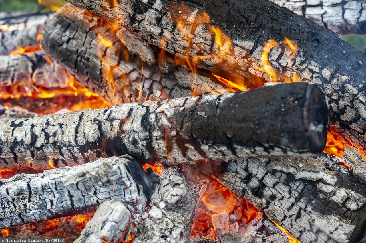 Relaks na działce. Oto jak uniknąć kary za palenisko ogrodowe