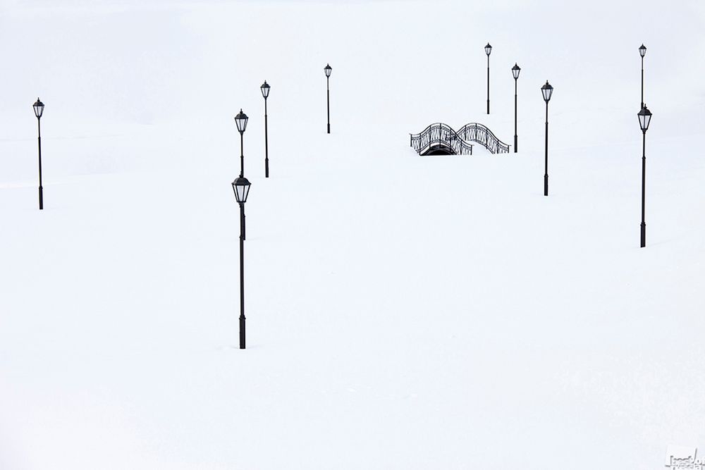 Nominowani do tytułu Najlepszego Fotografa Rosji w konkursie „Best of Russia 2016” 3