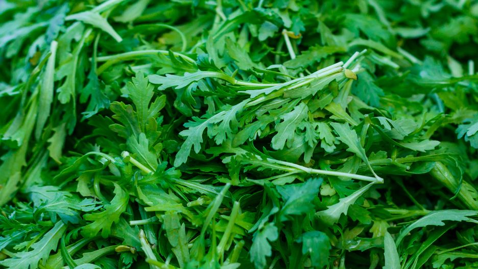 Gotowany złocień wieńcowy bez dodatku soli, odsączony