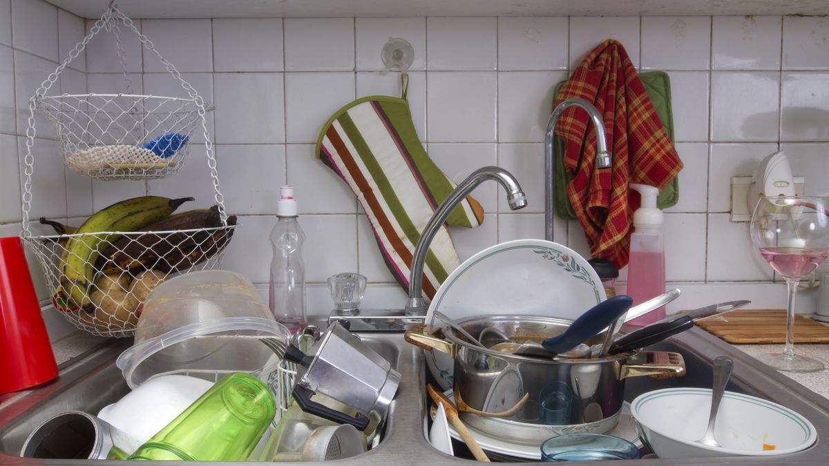 Zrobiła test na obecność bakterii na przedmiotach codziennego użytku 