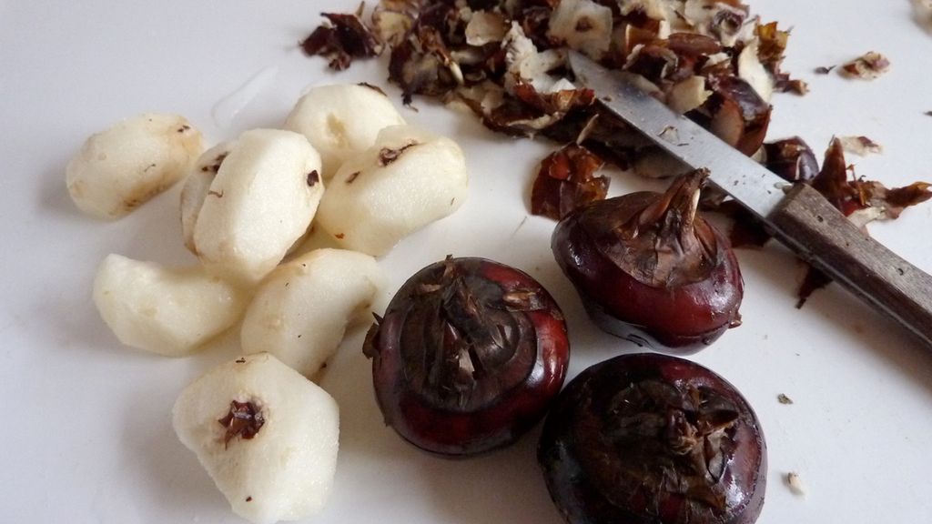 Surowe kasztany wodne