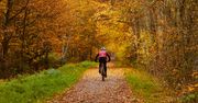 Jesienny rajd Akademii Muzycznej. Rowerzyści przejadą Doliną Cybiny, przez Uzarzewo i Puszczę Zielonkę