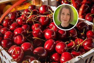 Jesz czereśnie bez umiaru? Takie mogą być skutki