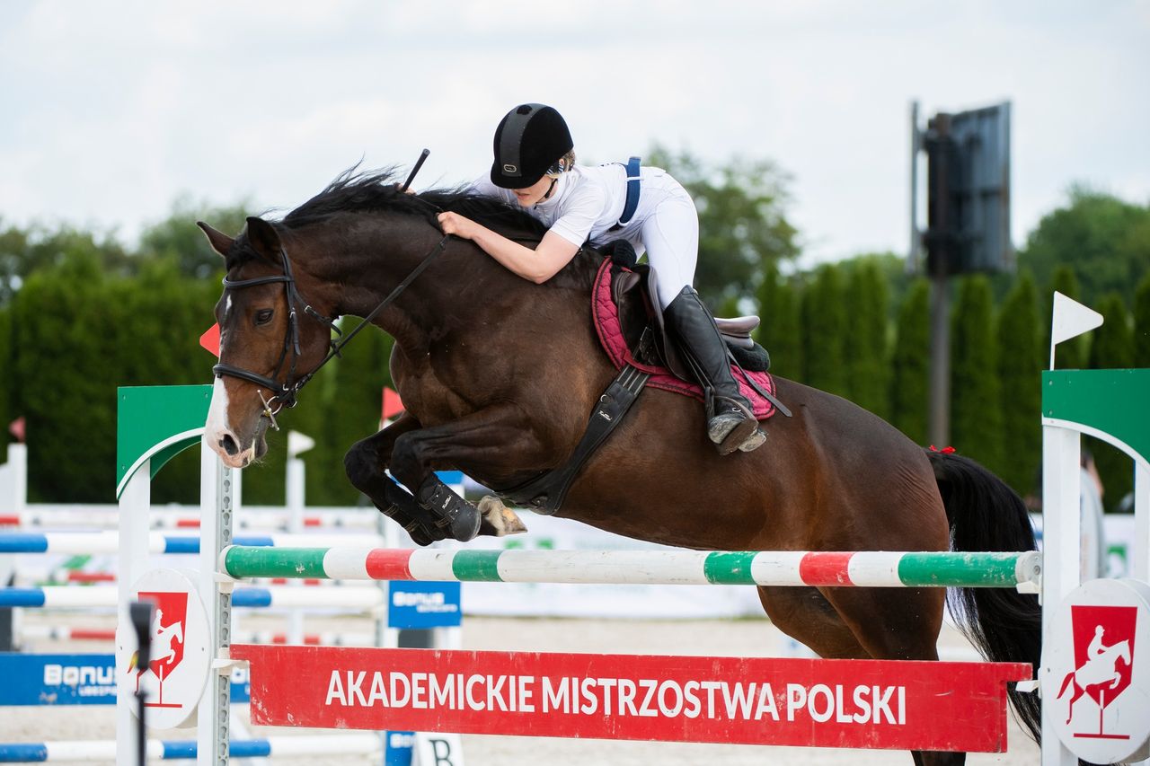 ALK Warszawa obroniła tytuł AMP w jeździectwie w Radzionkowie