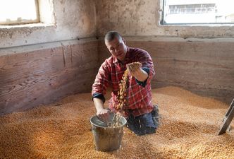 Rajd notowań na rynkach rolnych. Ceny najwyższe od ponad 8 lat