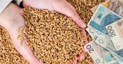Dopłaty do nasion 2025 już na kontach. Sprawdź, czy dostałeś przelew