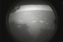 Łazik Perseverance wylądował na Marsie. Jest pierwsze zdjęcie