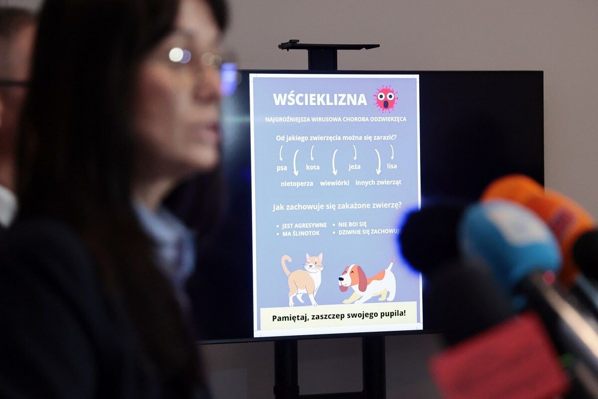Plakat akcji szczepień zwierząt