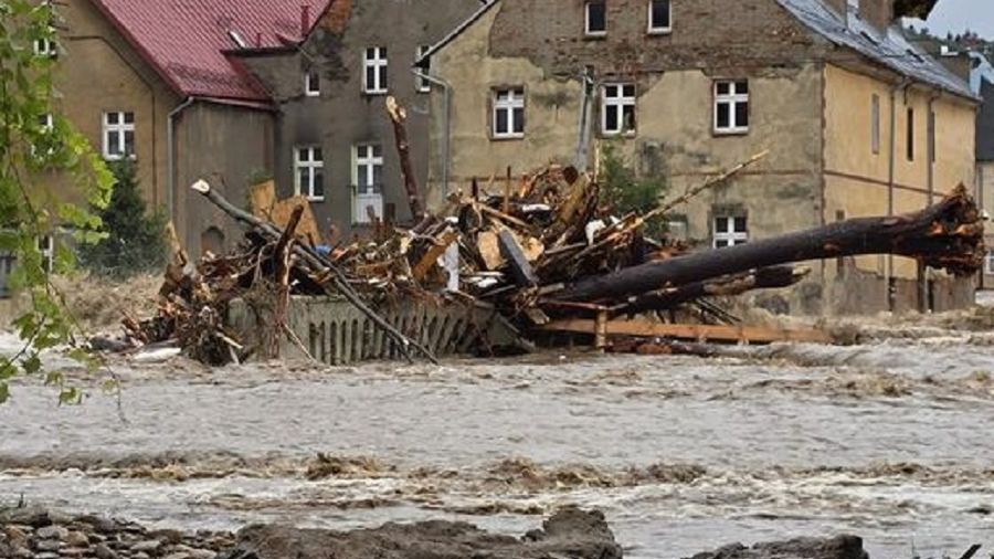 Zdjęcie ilustracyjne