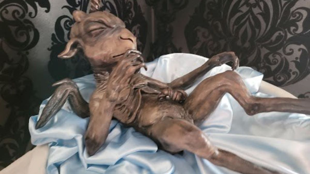 Satanistyczna szopka na świątecznej wystawie 