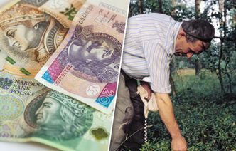 Polacy wynoszą z lasów tonami. Ten "sport narodowy" jest już wart miliardy