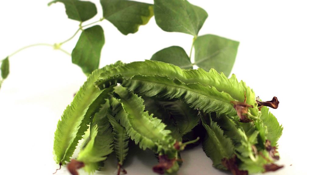 Surowy łust głąbigroszek (młode ziarna)