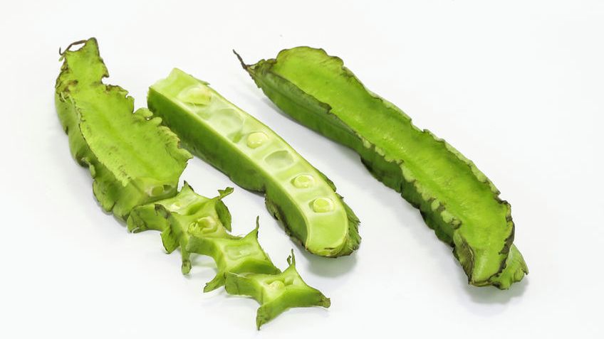 Gotowany łust głąbigroszek (młode ziarna) bez dodatku soli, odsączony