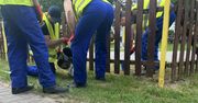 Zamość: Wspólna akcja ZUK i Zakładu Karnego przed Dniem Dziecka