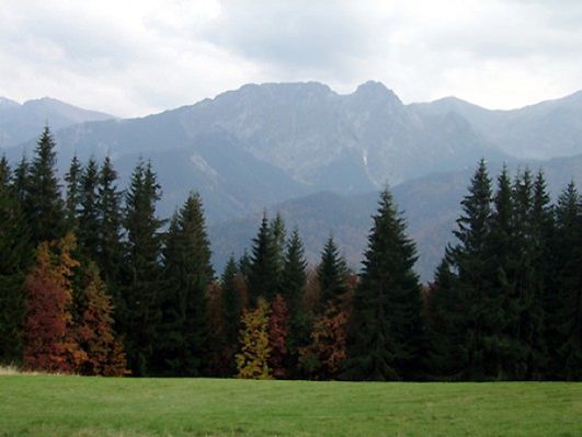 Obraz