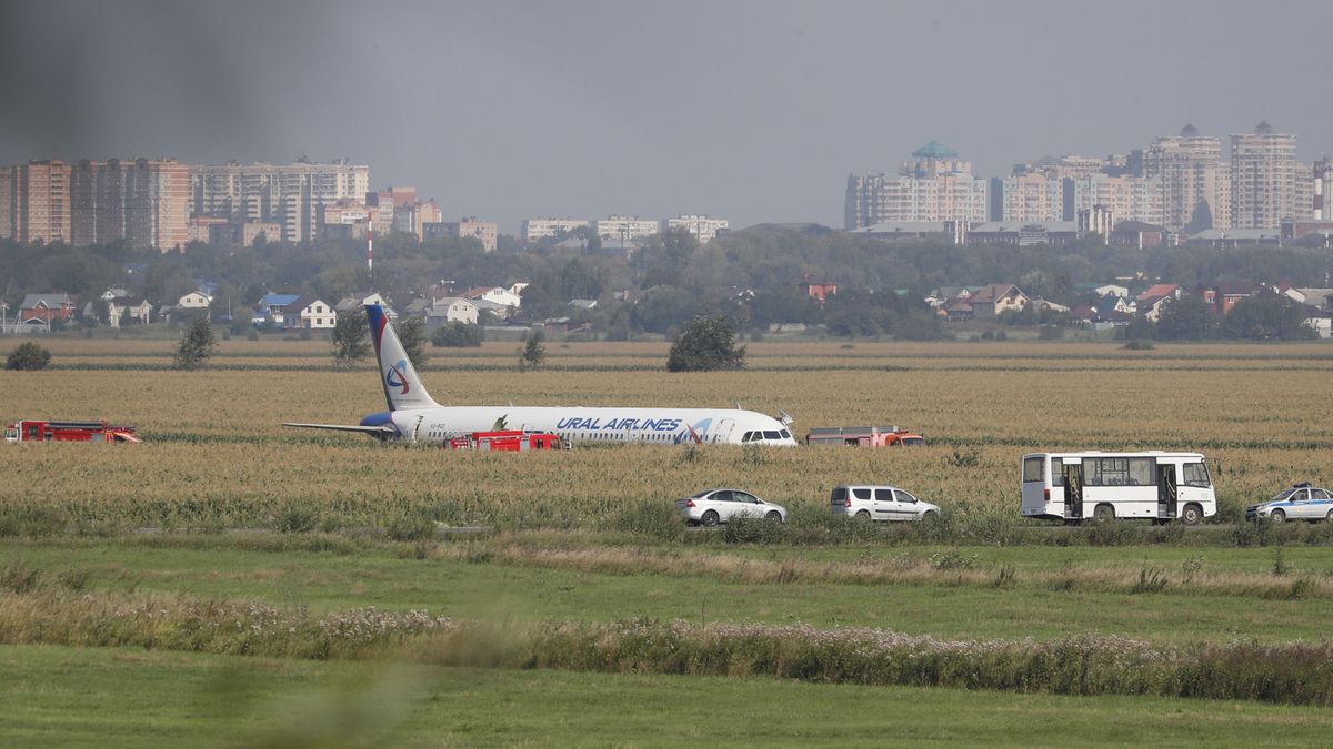 PAP/EPA / SERGEI ILNITSKY / Samolot linii Ural Airlines awaryjnie wylądował na polu kukurydzy