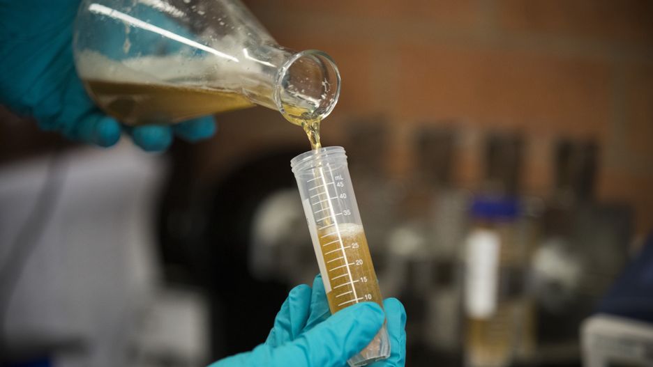 A sample of beer is poured at a laboratory at the Young Henrys brewery in Sydney, Australia, on Friday Aug. 19, 2022. Most economists expect the Reserve Bank of Australia will shrug off the unexpected decline in the often volatile jobs report and execute a fourth half-point hike in September to bring the cash rate to 2.35%. Photographer: Brent Lewin/Bloomberg via Getty Images