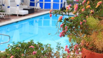 Basen w domu? Nie tak drogo, jak myślisz