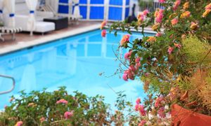 Basen w domu? Nie tak drogo, jak myślisz