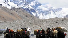 Koronawirus. Chińskie władze zamknęły Mount Everest
