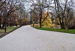 Nowe alejki w parku Ujazdowskim. "Efekt pracy rozściełacza" [WIDEO]