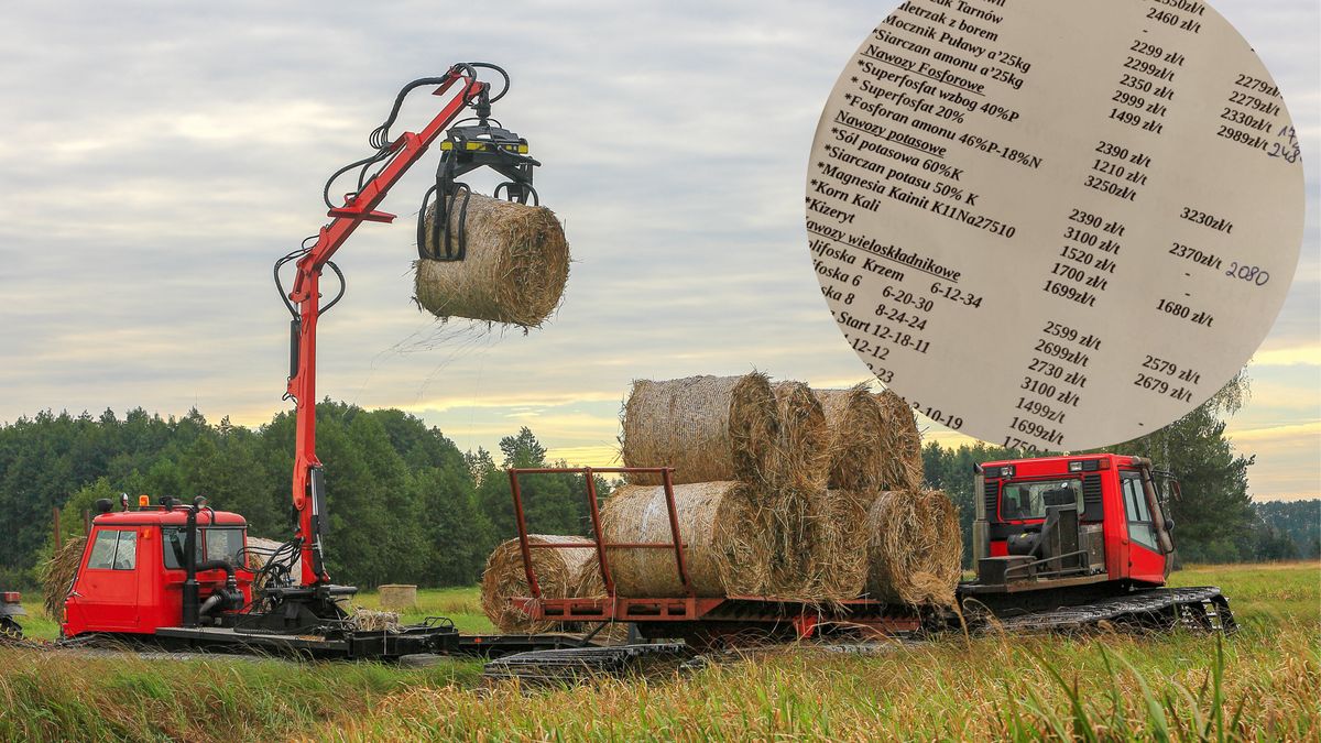 Ceny pszenicy wystrzeliły w tym roku w górę. Niestety dla rolników to nic przy poziomach cen nawozów