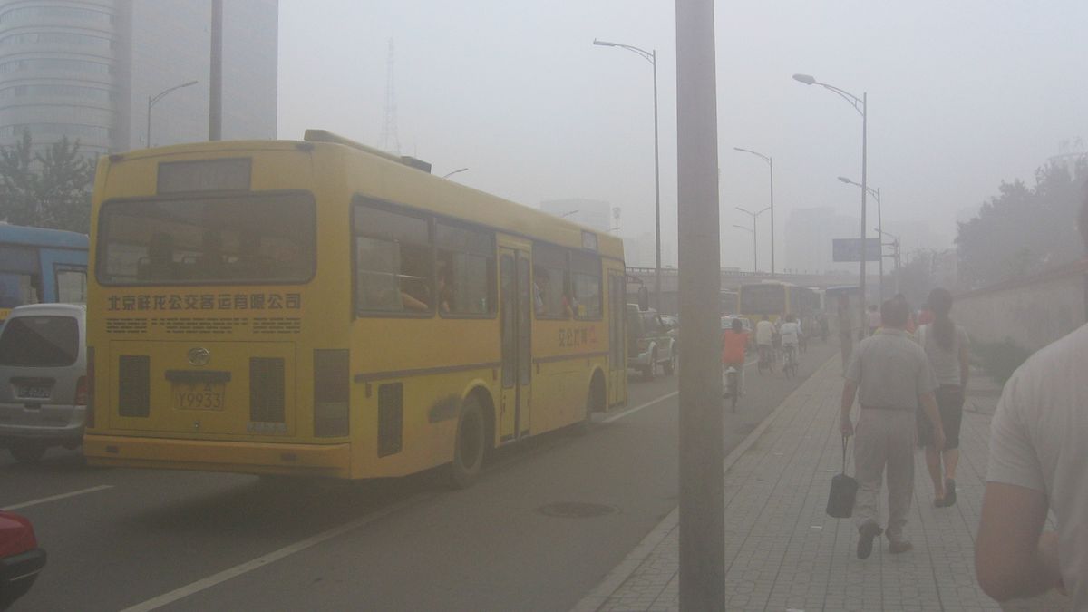 CC-BY-SA Berserkerus, Wikimedia Commons